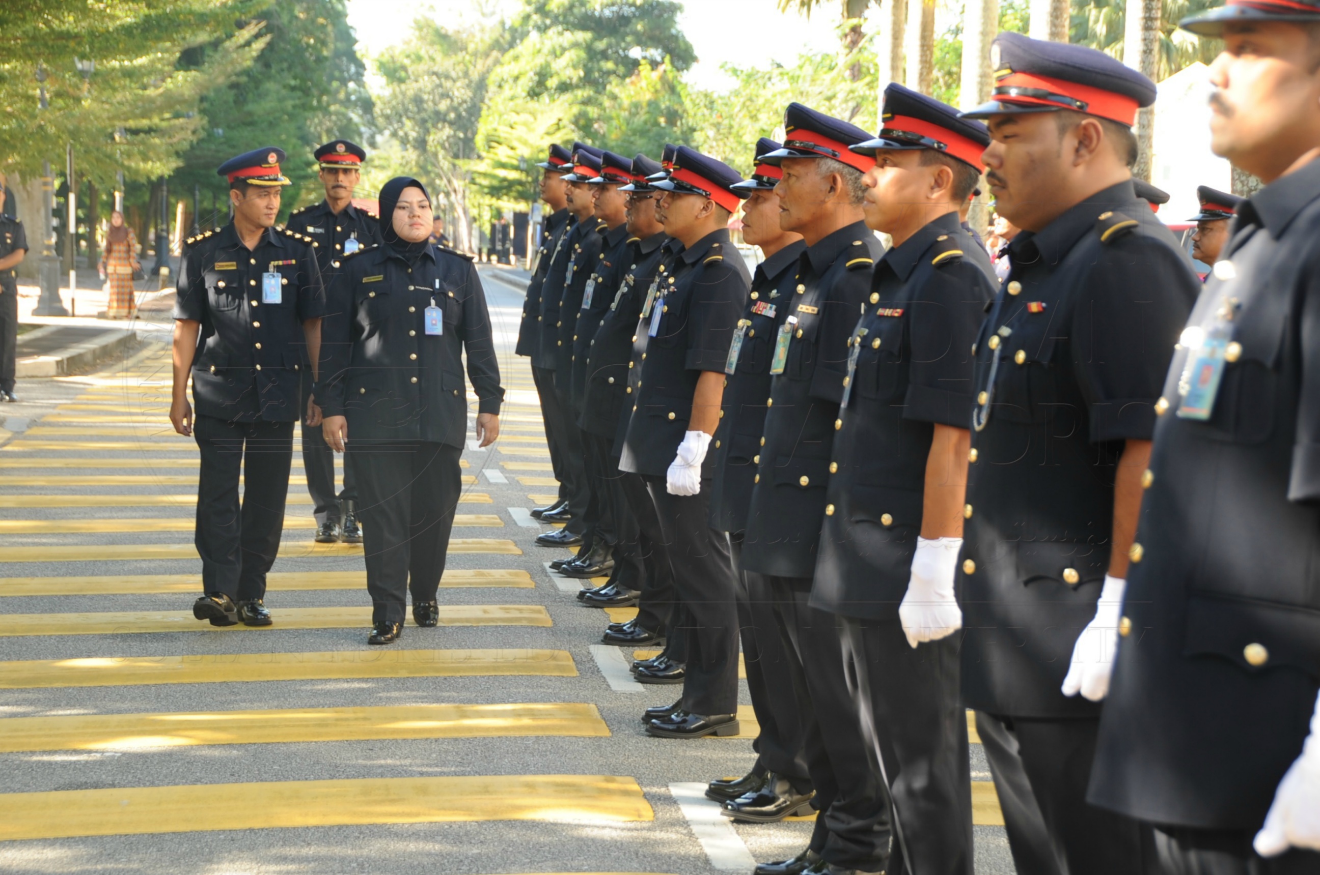 PRO 16 6 AMANAT VCHAS 8391